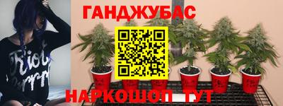 гашиш Гусев