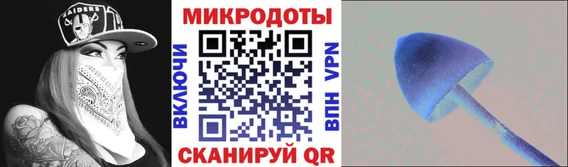 Псилоцибиновые грибы GOLDEN TEACHER  кракен ссылки  Магнитогорск 